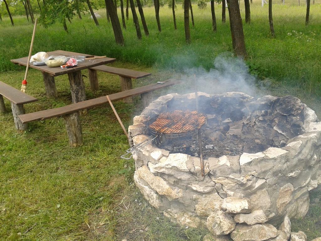 Vadaspuszta Vendeghaz Csatka Zewnętrze zdjęcie